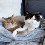 pocketsandboots profile picture