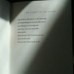 poetryisnotaluxury profile picture