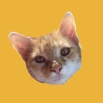 poetssquarecats profile picture