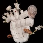 polinatammi profile picture