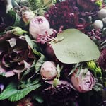 poluxfleuriste profile picture