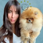 pomeranianminiboo profile picture