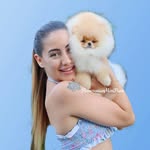 pomeranianminipups profile picture