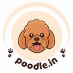 poodle.in profile picture