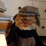 pooh.cat profile picture