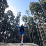 pooh_ki_zindagi profile picture