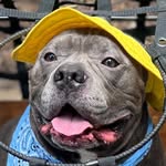 porkandpals profile picture