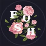 posh_pion profile picture