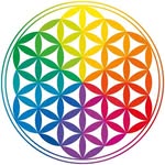 positive_vibe_tribe profile picture