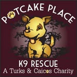 potcakeplacek9rescue profile picture