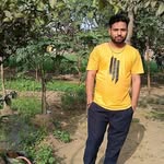 pradeepkumaryadav0099 profile picture