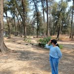pradnya_gurav2003 profile picture