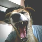 pragyan.tg profile picture