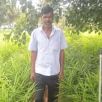 prakashraj.urs.54 profile picture