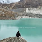 prakrit_tamang10 profile picture