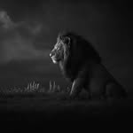 prasoon____mishra profile picture