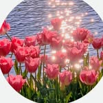pratika_singh_13 profile picture