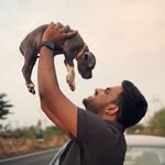 pratikpandit_wildlife profile picture