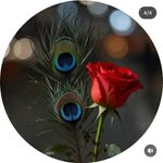 pratimakashyap260 profile picture