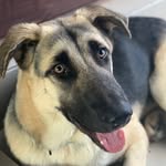 prazermomo profile picture