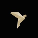 presage_nyc profile picture