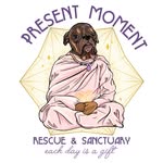 presentmomentrescue profile picture