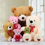 presha_fatima profile picture