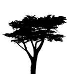 presidiopictures profile picture