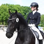 presley.dressage profile picture