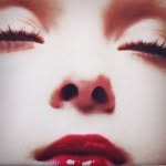 prettymucheverythingstore profile picture