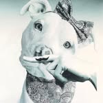 pretty_pitty_willow profile picture