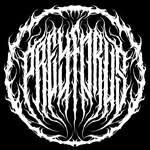preyforusclothing profile picture