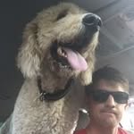 priest.cody profile picture