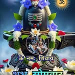 princechauhan96750 profile picture