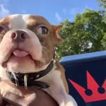 princeromefty profile picture