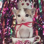 princess_gemma profile picture
