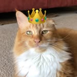 princesspumpkinmarie profile picture