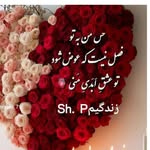 princessshafig profile picture