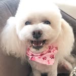 princesswhinnie profile picture