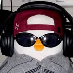 priscillaalbert_ profile picture