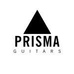 prismaguitars profile picture