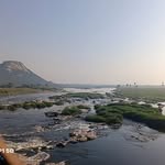 priya1091043 profile picture