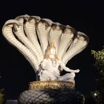 priyankapatel62033 profile picture