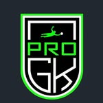 progkacademy_ profile picture