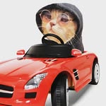 prohor.tv profile picture