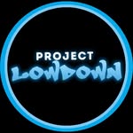 project_lowdown profile picture
