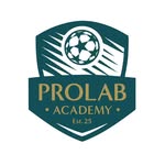prolab_academy profile picture