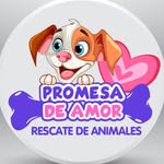promesadeamorr profile picture