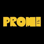 promifly profile picture