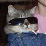 pronounced_no_el profile picture